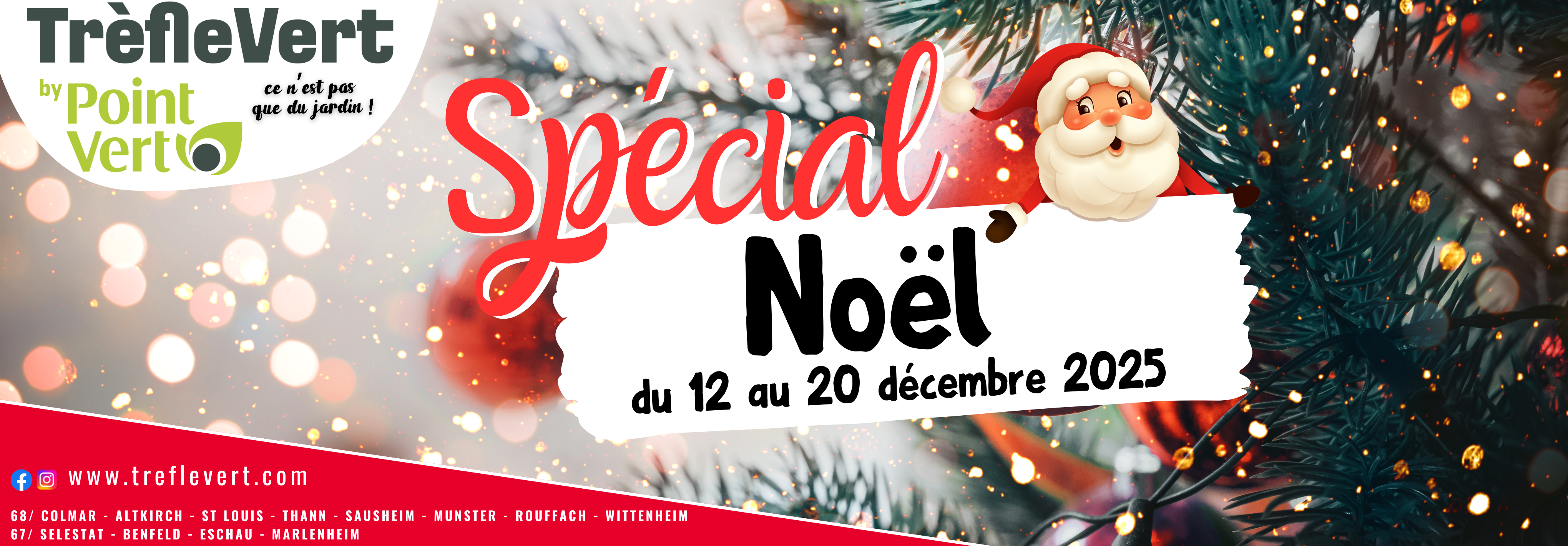 SPECIAL NOEL